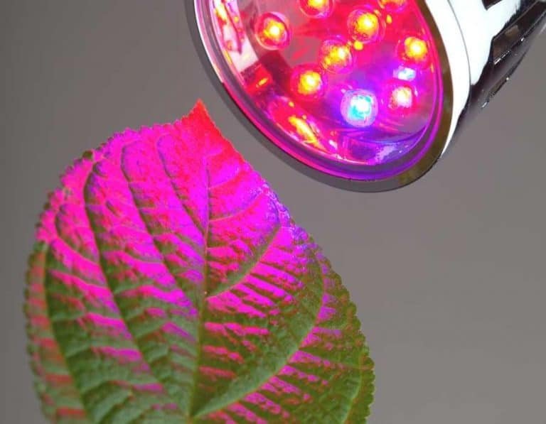 Do Grow Lights Give Off Radiation
